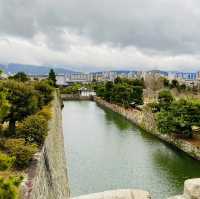 日本散策：古都奈良，與神的使者相遇
