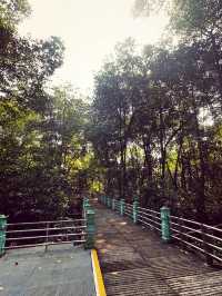 Summer Trip Itinerary – 2 Days in Sitiawan & Surroundings
