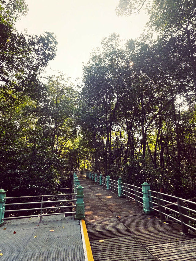 Summer Trip Itinerary – 2 Days in Sitiawan & Surroundings