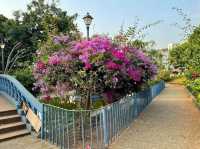 Jogger's Park