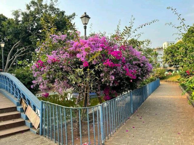 Jogger's Park