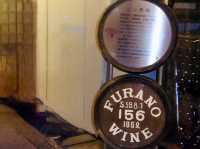 🍇 Wines with a View: A Sip of Furano’s Charm