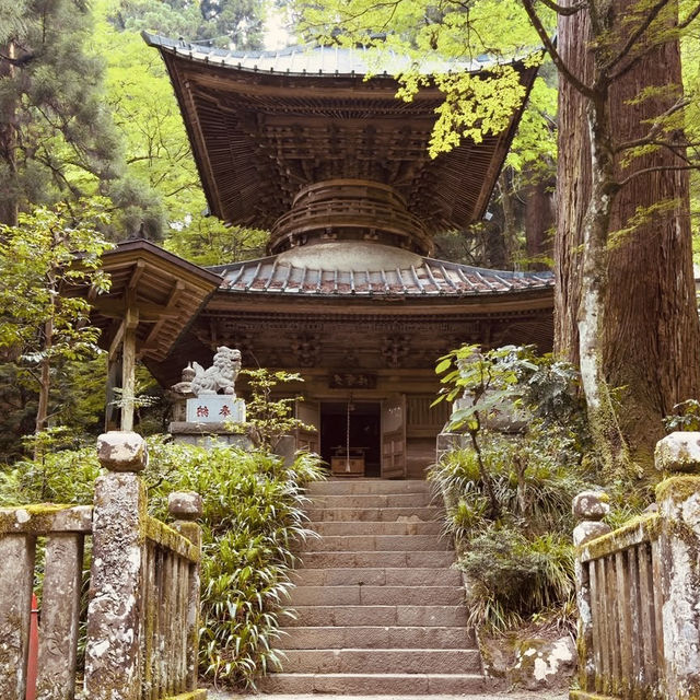 🌊 Solo Zen Escape: Hase-dera Temple in Kamakura
