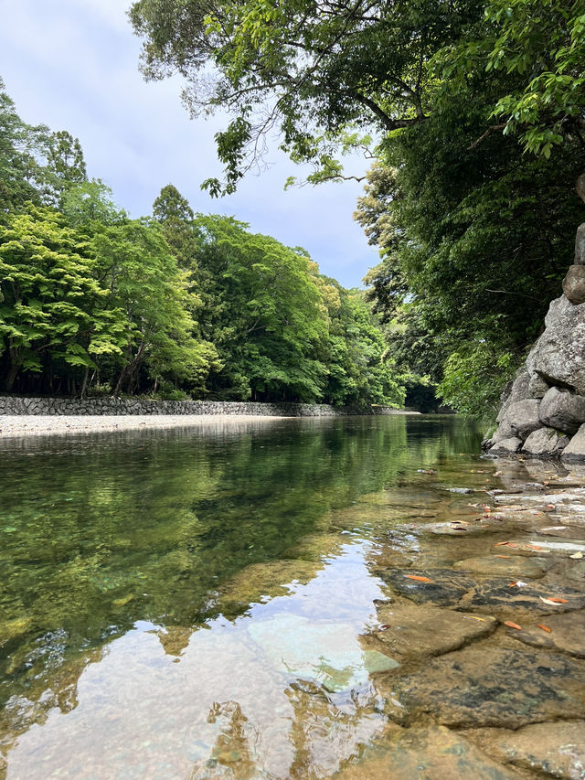 伊勢神宮｜走進神明的森林，與自然對話的靜心之旅🌿⛩️