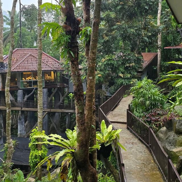 Living the Jungle Dream at Rock & Tree House Resort