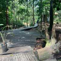 🍃Post-Hike Treat at Hill & Heal Café – A Hidden Gem in Kluang!🌿