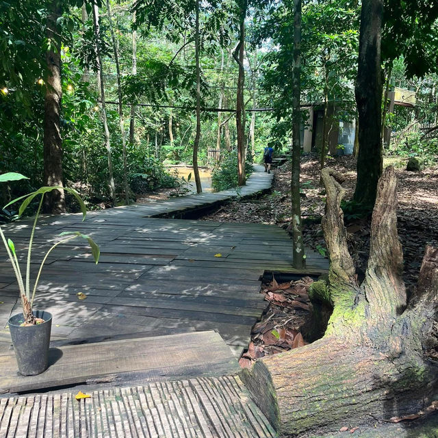🍃Post-Hike Treat at Hill & Heal Café – A Hidden Gem in Kluang!🌿