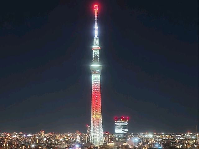 도쿄감성 다이이치 호텔 료고쿠(Daiichi Hotel Ryogoku) 프리미엄 더블룸 스카이트리뷰