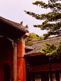 熊貓之都的慢旅行