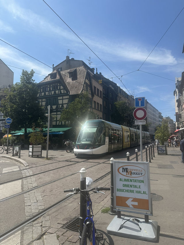 🏡アルザスの宝石・ストラスブール✨運河と木組みの街で過ごすヨーロッパ時間🇫🇷🇩🇪