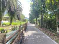 吉安 親水步道 自行車🚲道 七腳川溪