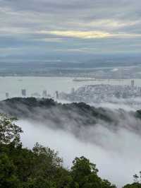 Above the City, Beneath the Trees: Explore The Habitat Penang Hill!