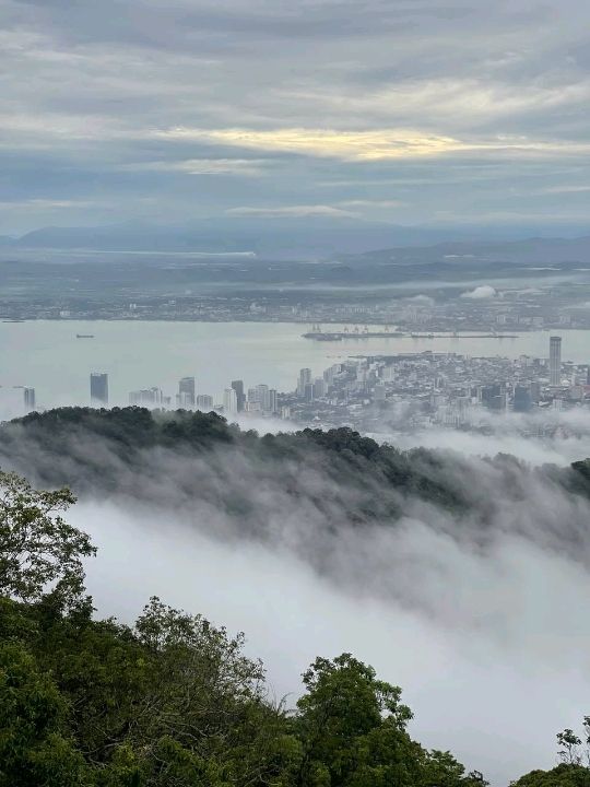 Above the City, Beneath the Trees: Explore The Habitat Penang Hill!