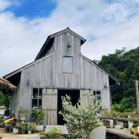 MiYo Coffee & Bar เชียงราย 