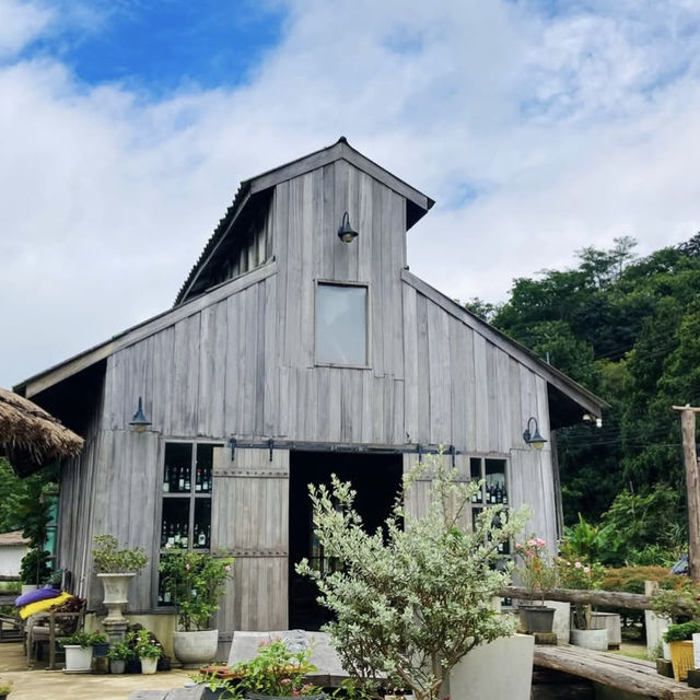 MiYo Coffee & Bar เชียงราย 