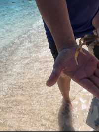 Summer holiday at Redang beach Malaysia