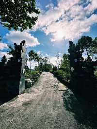 Sacred Springs of Batur: Pura Tirta Mas Bungkah Serenity
