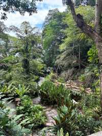 Spice Trails: A Journey Through Penang’s Botanical Wonderland
