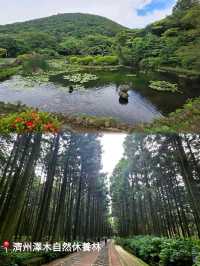 濟州歷史文化觀光巴士一日遊🏞感受韓劇《苦盡柑來遇見你》IU 生活🛖🤿🦪🐙🐚