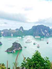 英雄島（Ti Top Island）