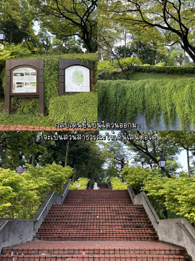 Fort Canning Tree Tunnel สวยจนอยากไปซ้ำ!!!🍀🌳