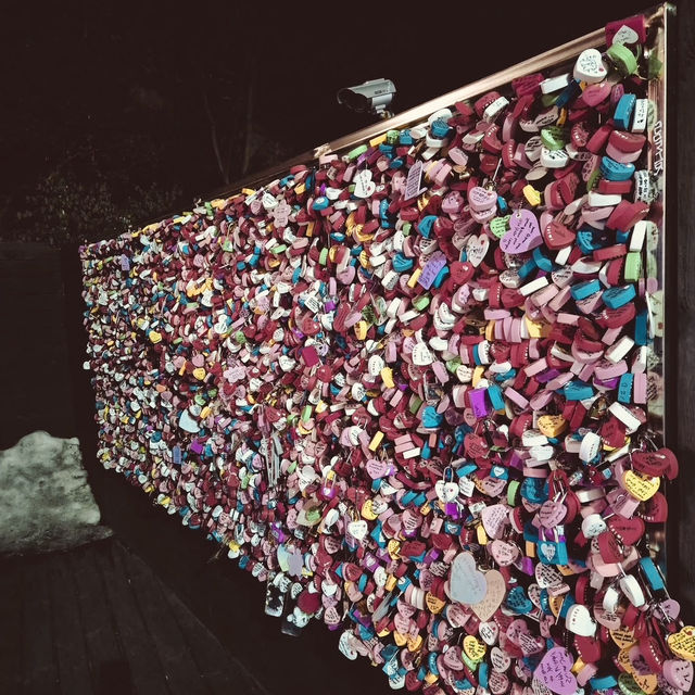 Seoul from the Clouds: A Solo Traveler’s Guide to N Seoul Tower"** 🌆🚠