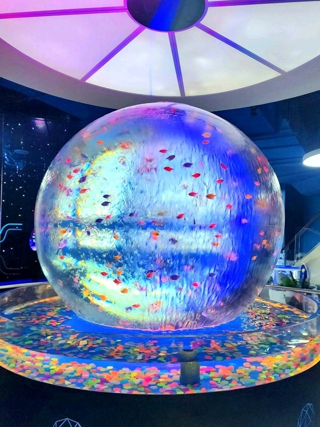 A Dive into the Deep at Aquaria KLCC