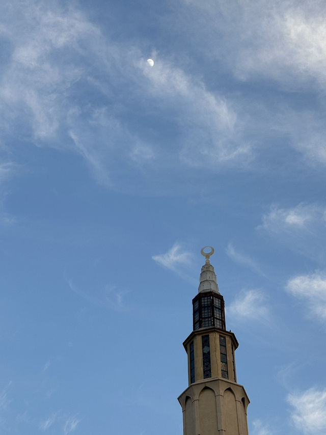 Alexandria: Burned Knowledge By The Sea