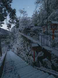 【鞍馬寺】天狗伝説が息づく神秘の山寺へ🌲👺
