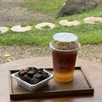 หลงเขา คาเฟ่กลางป่าจังหวัดน่าน