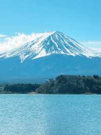 富士山河口湖