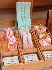 【東京】七夕限定御朱印は数量限定🎋