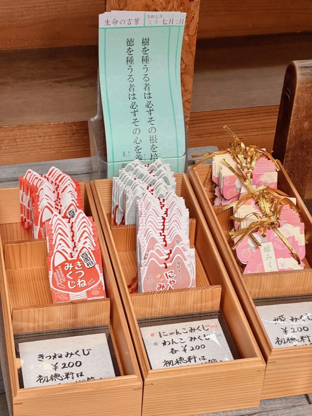 【東京】七夕限定御朱印は数量限定🎋
