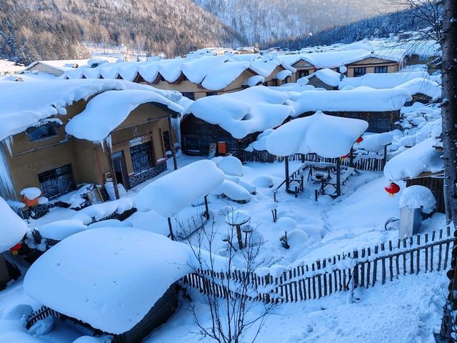 Snow Town Fairytale: The Winter Charm of Mushroom Houses