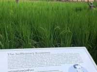 'Old Phuket Farm'의 태국 전통 방식