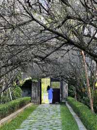 An Hien Garden House – A Tranquil Heritage in Hue, Vietnam