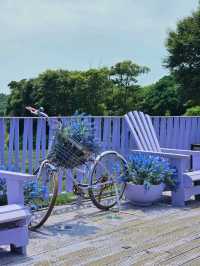 「森を走る列車で、自然のワンダーランドへ🚂🌿 Ecoland