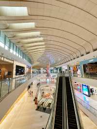 巨大モールで1日満喫！IOI City Mallの全てがここに
