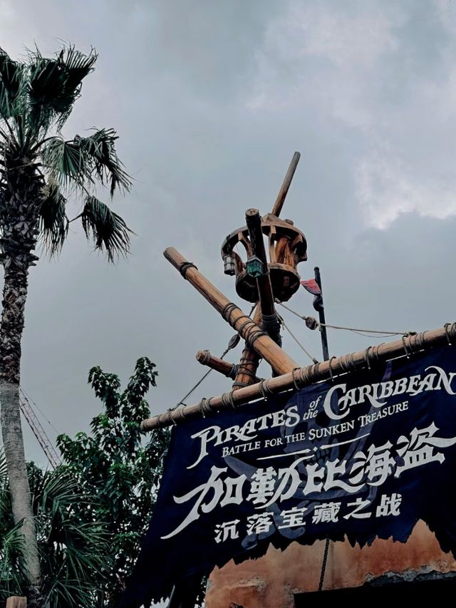 A Magical Fusion: Disney Dreams with a Chinese Heart