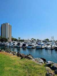 🐳 San Diego Whale Watching – A Scenic Cruise, But Manage Your Expectations