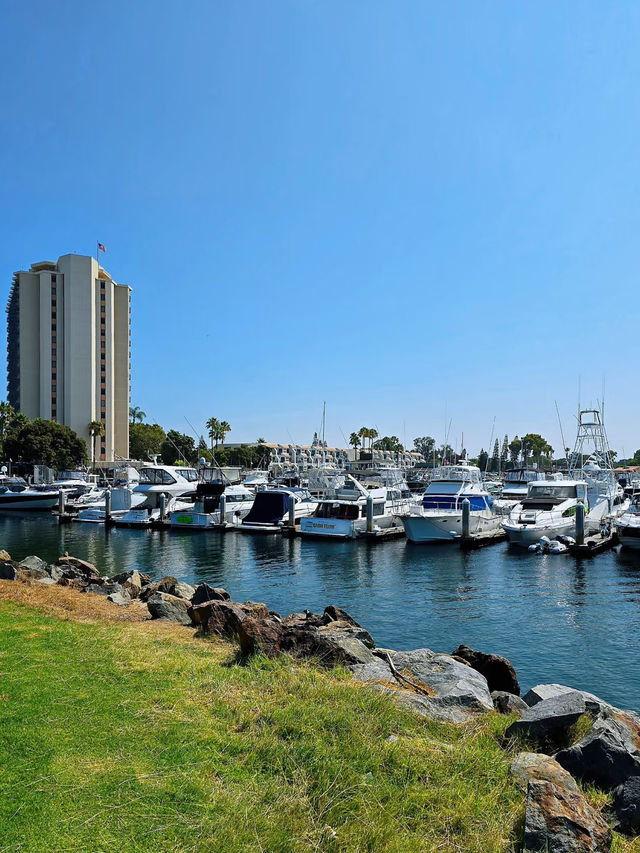 🐳 San Diego Whale Watching – A Scenic Cruise, But Manage Your Expectations