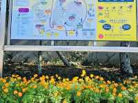 Engaging Family Fun Amidst Nature's Puzzles