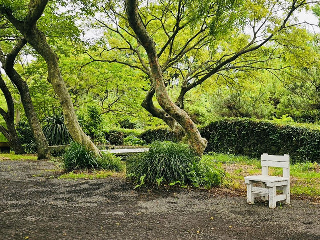A Photographer's Inspiration and Educational Journey