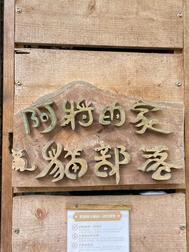阿將的家23咖啡館