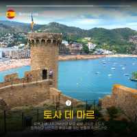 ๋ฐ๋ฅด์
๋ก๋์์ ๋น์ผ์น๊ธฐ๋ก ๋ ๋๋ ๊ทผ๊ต ์ฌํ์ง BEST 7๐ซถ๐ป