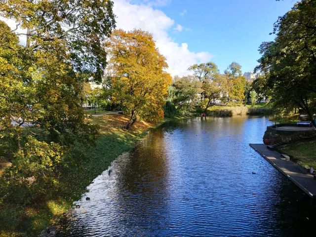 Exploring Riga Park