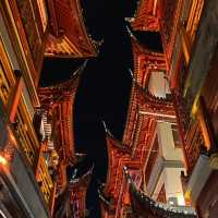 Autumn Whispers in Yu Garden