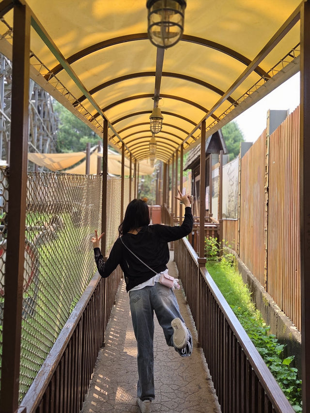 귀여움 한가득 에버랜드 뿌시기🎡