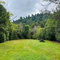 Kaitoke Regional Park – Upper Hutt, Wellington Region