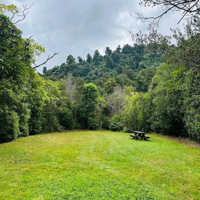 Kaitoke Regional Park – Upper Hutt, Wellington Region